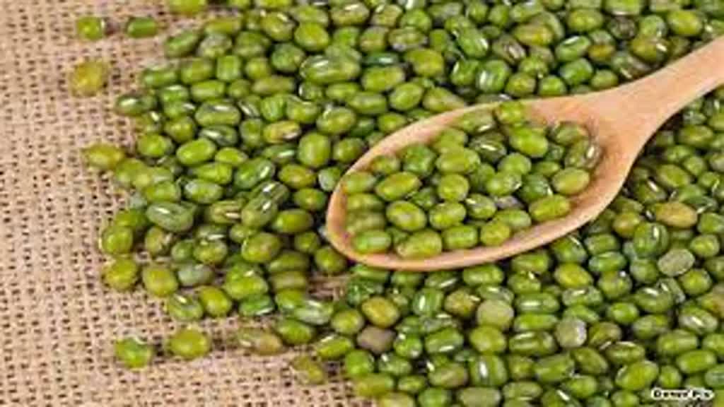 Farmers of mp: समर्थन मूल्य पर मूंग खरीदी के रजिस्ट्रेशन की बढ़ाई तारीख, जानिए किस तारीख तक करा सकेंगे पंजीयन