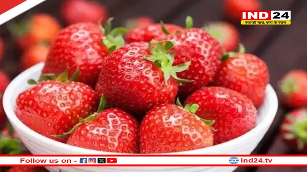 स्ट्रॉबेरी खाने से स्किन को मिलते हैं कई तरह के फायदें, बस इन टिप्स को करें फॉलो