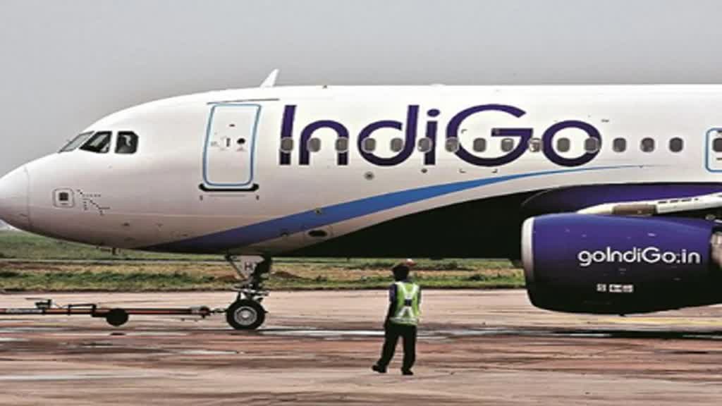 CG NEWS : रायपुर आ रही इंडिगो की फ्लाइट में आई तकनीकी खराबी, यात्रियों ने उठाई फ्लाइट की फिटनेस चेक करने की बात 