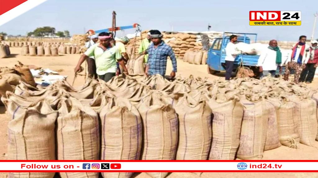 छत्तीसगढ़ में 15 नवंबर से धान खरीदी करेगी सरकार, प्रति एकड़ 21 क्विंटल बेच सकेंगे किसान