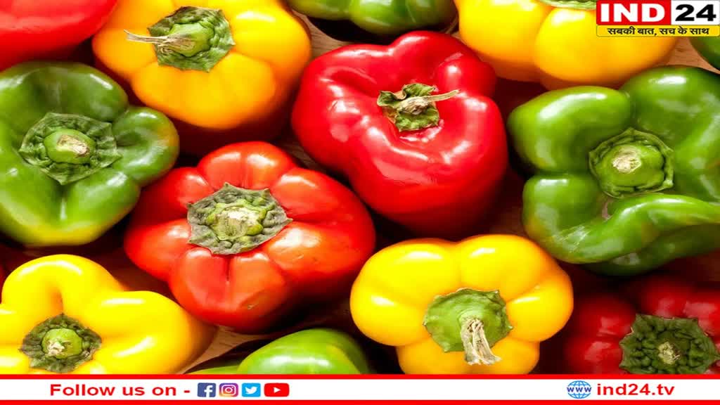 Benefits Of Capsicum: शिमला मिर्च है पोषक तत्वों का भंडार, जानिए इसके अनगिनत फायदे