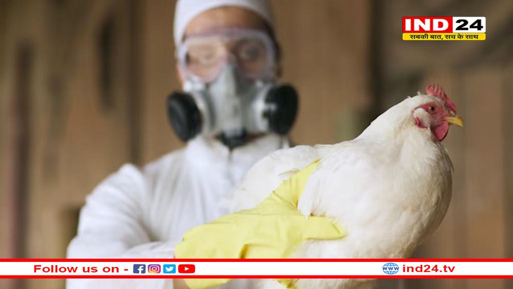 अमेरिकी डेयरी कर्मचारी में बर्ड फ्लू का नया वैरिएंट