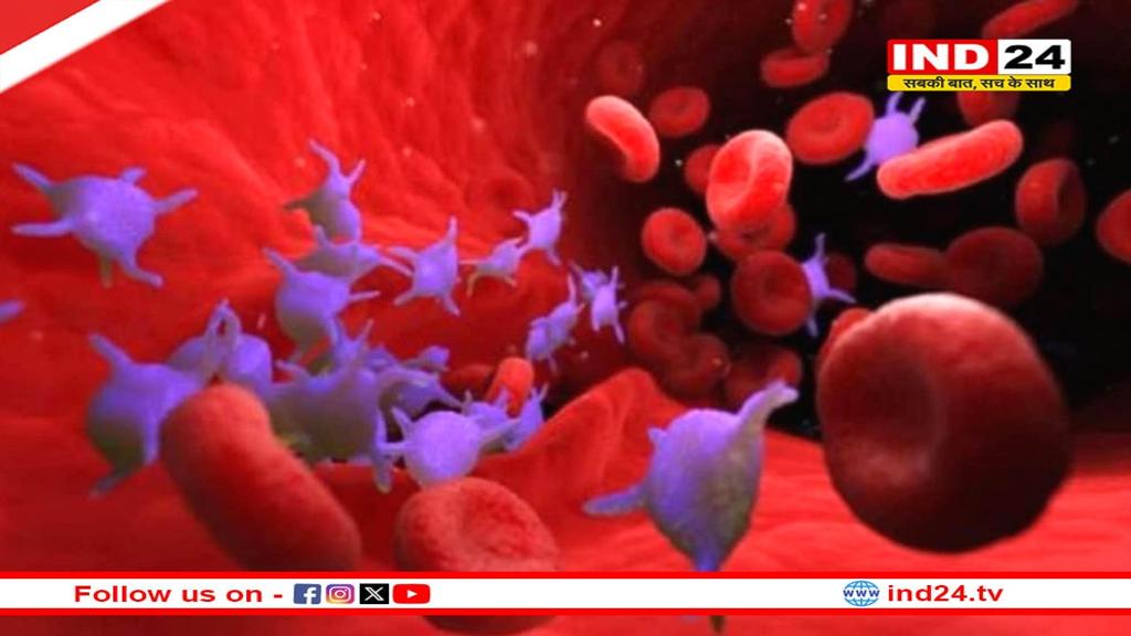 प्लेटलेट्स कम होने पर शरीर में दिखते हैं ये लक्षण, इग्नोर करने से हो सकती है बड़ी समस्या