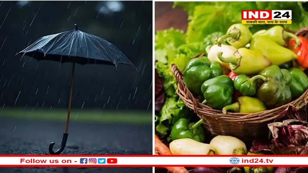 बरसात में खाई ये चीजें फायदे की जगह देती है सेहत को नुकसान