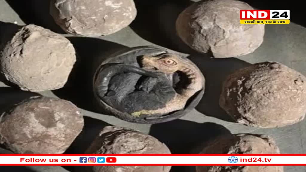 कुलदेवता मानकर जिनकी वर्षो से हो रही थी पूजा: वो निकले डायनासोर के  अंडे