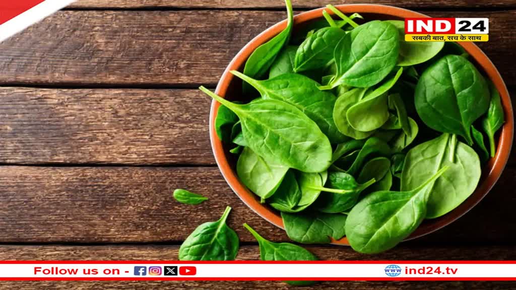 Health Tips: सुपरफूड के रूप में जाना जाता है पालक, इसे खाने से होते हैं कई बड़े फायदे