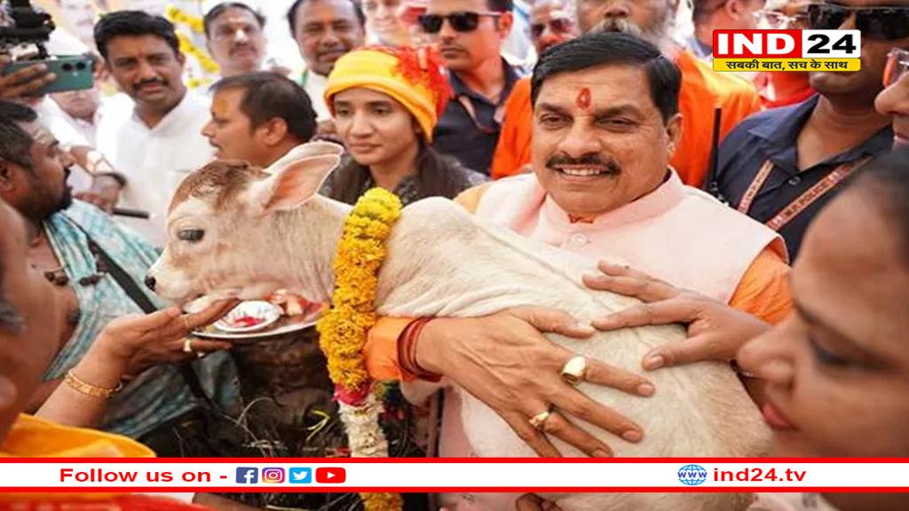 डॉ. अंबेडकर कामधेनु योजना: हितग्राहियों को मिलेगी 25 से 33% तक सब्सिडी