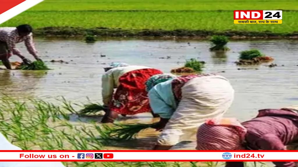 29 मई से शुरू होगा ‘विकसित कृषि संकल्प अभियान’ क्या मिलेगा फायदा?
