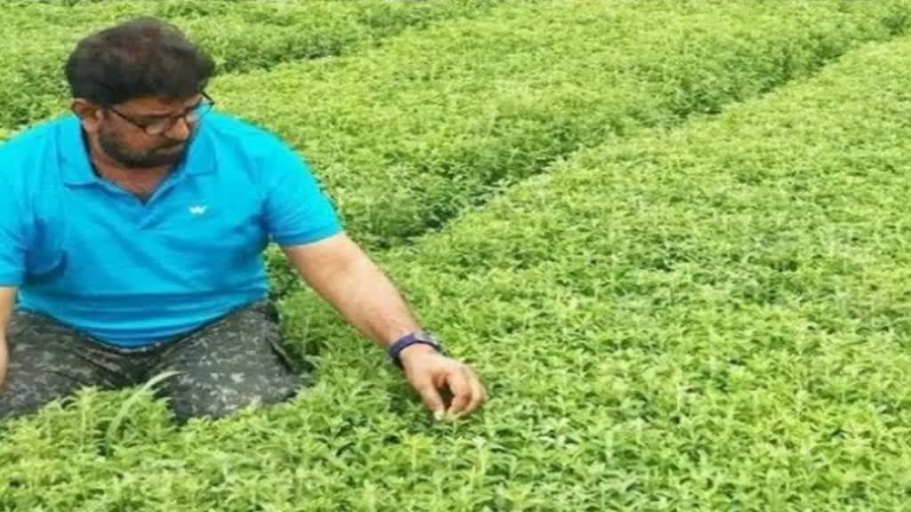 CG NEWS : खेतों की देखभाल और जैविक कीटनाशक छिड़काव के लिए 7 करोड़ में हेलीकॉप्टर खरीद रहा किसान, पूरे देश में है शोर…