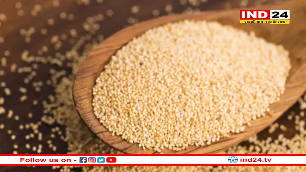 Health Update: पोषक तत्वों का भंडार है खसखस, जानें इसके गजब के फायदे