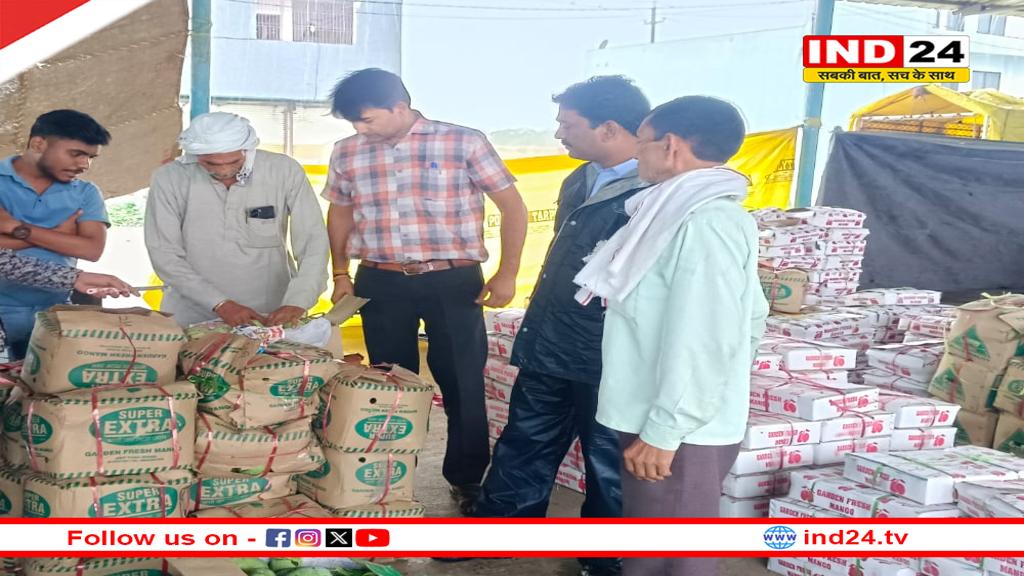 फलों को 'मसाले' से तो नहीं पकाया गया? टीमों ने की जांच,करोंद और बिट्‌टन मार्केट में खाद्य सुरक्षा अधिकारियों का निरीक्षण