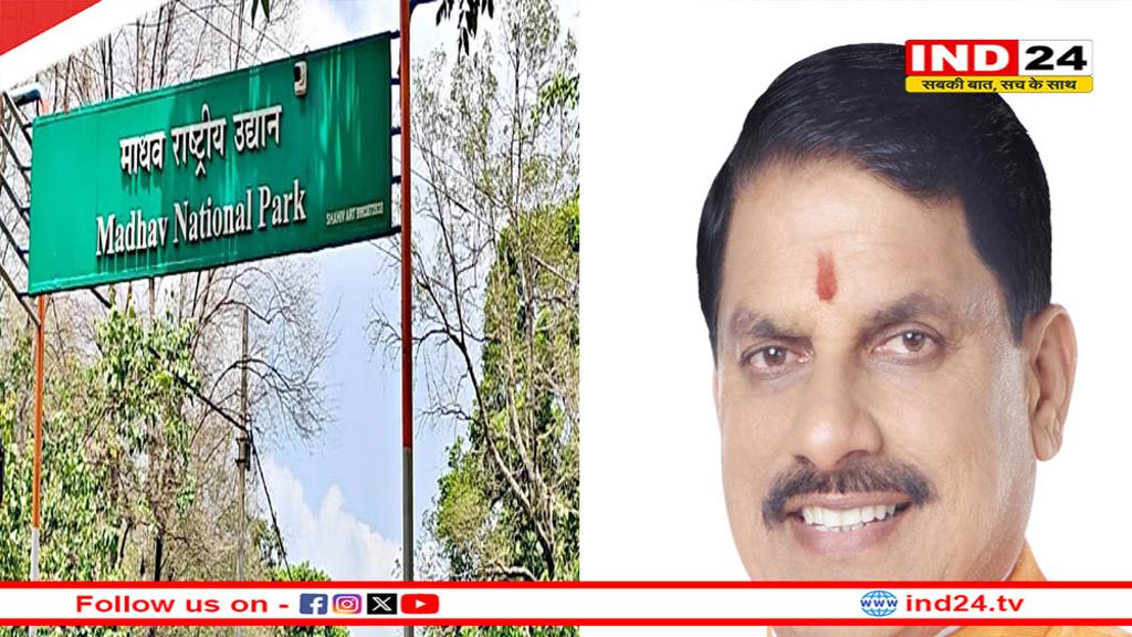 माधव राष्ट्रीय उद्यान पर 10 मार्च को छोड़े जाएंगे दो बाघ