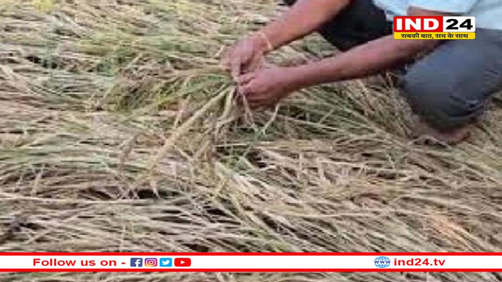 वाह रे सिस्टम! फसल नुकसान पर किसान को मिली 6 रुपए की मदद