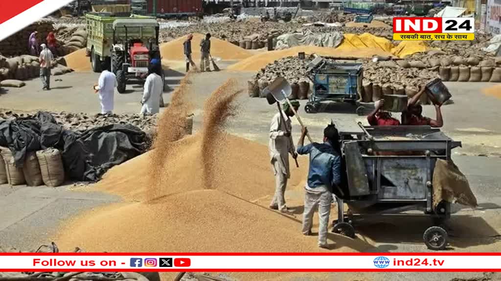 गेहूं में सरकारी खरीदी की रफ्तार बीते साल से कम, बाजार मजबूत