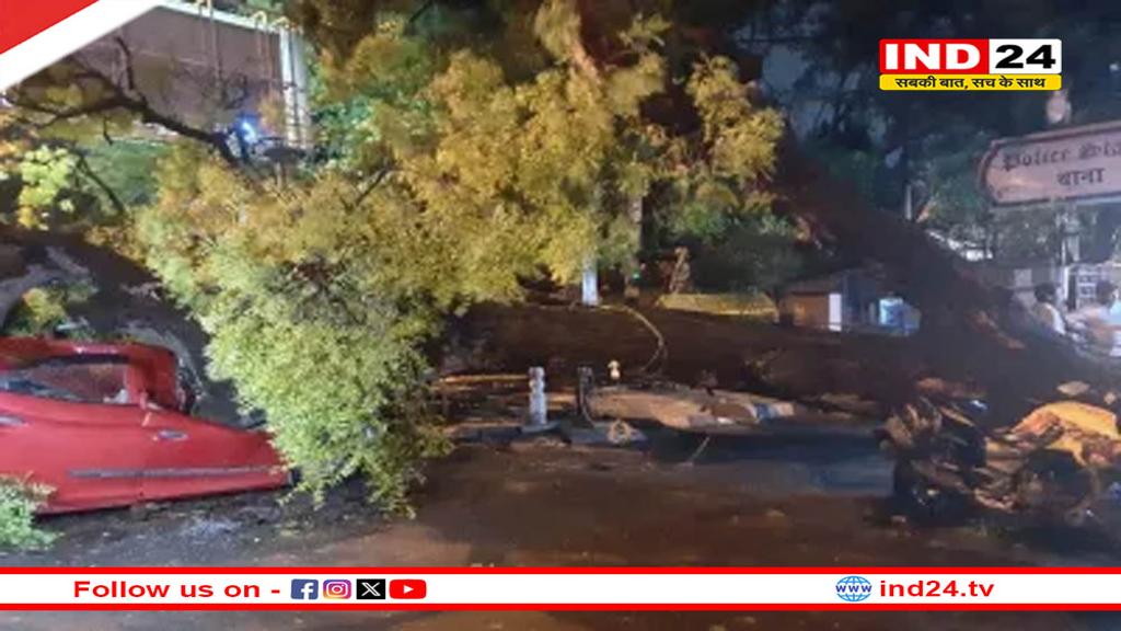 राजधानी दिल्ली में हुई मूसलाधार बारिश, तेज हवाओं के चलते कई पेड़ उखड़े, लोगों को मिली गर्मी से राहत