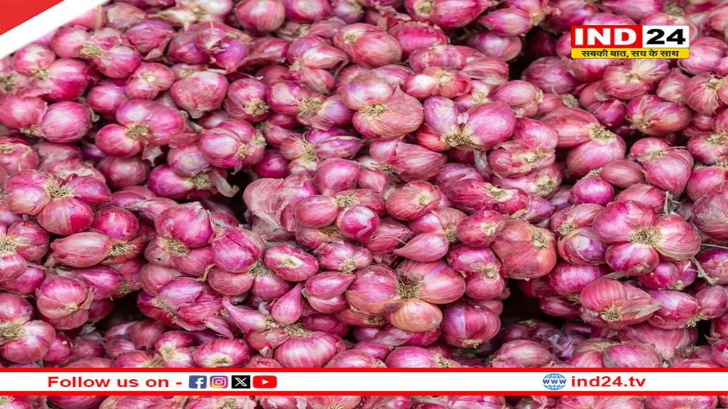 किसानों के लिए खुशखबरी, अब प्याज निर्यात पर नहीं लगेगा शुल्क