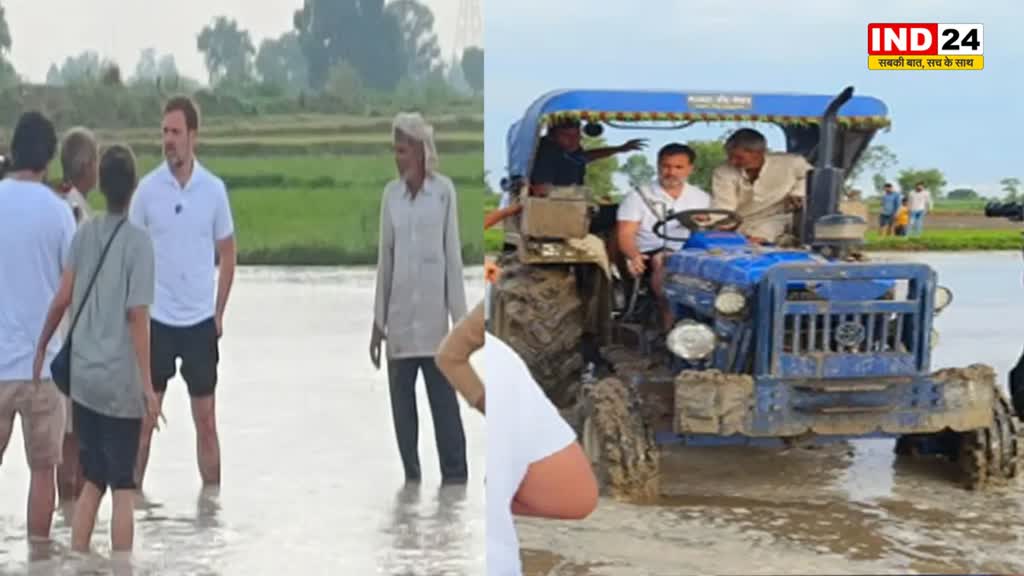  किसानों के बीच पहुंचे राहुल गांधी, साथ मिलकर लगाई धान, चलाया ट्रैक्टर 