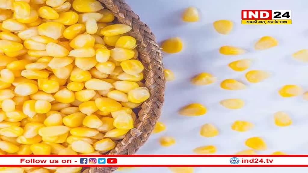 Corn Benefits: वेट लॉस से हेयर फॉल कंट्रोल करने तक,  जानें कॉर्न खाने के 6 जबरदस्त फायदे 