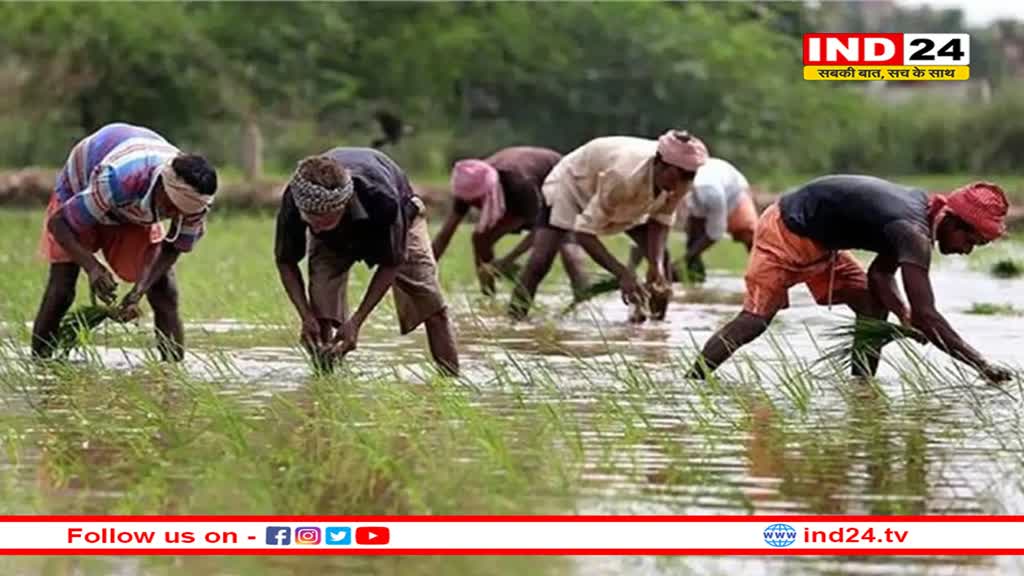 बजट में किसानों के लिए हो सकते हैं कई बड़े ऐलान, बढ़ सकती है KCC लिमिट 