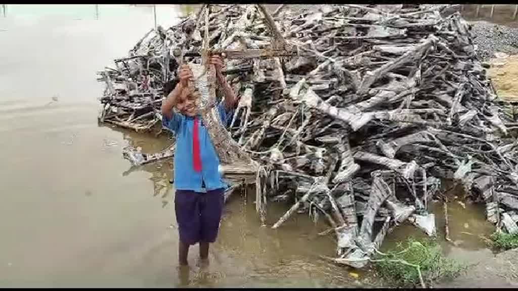 CG NEWS : छात्राओं को बांटने वाली साईकिल के पार्ट्स पानी में डूबने के कारण हो रहे है खराब...