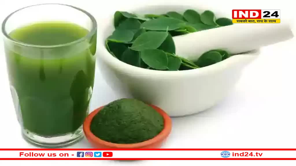 डायबिटीज में मोरिंगा के पत्ते और फली का जूस तेजी से बढ़ा सकता है इंसुलिन