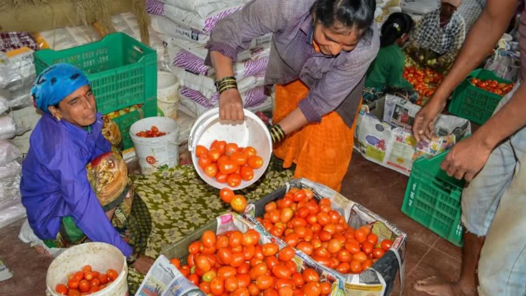 CG NEWS : महंगाई से लाल हो गया टमाटर! प्रदेश में 200 रुपए प्रति किलो बिक रहे टमाटर 