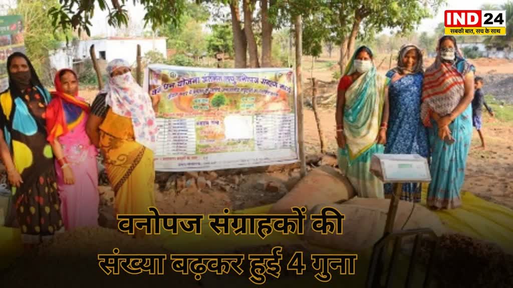 CG NEWS : चार सालों में वनोपज संग्राहकों की संख्या में 4 गुना से ज्यादा की बढ़ोत्तरी।