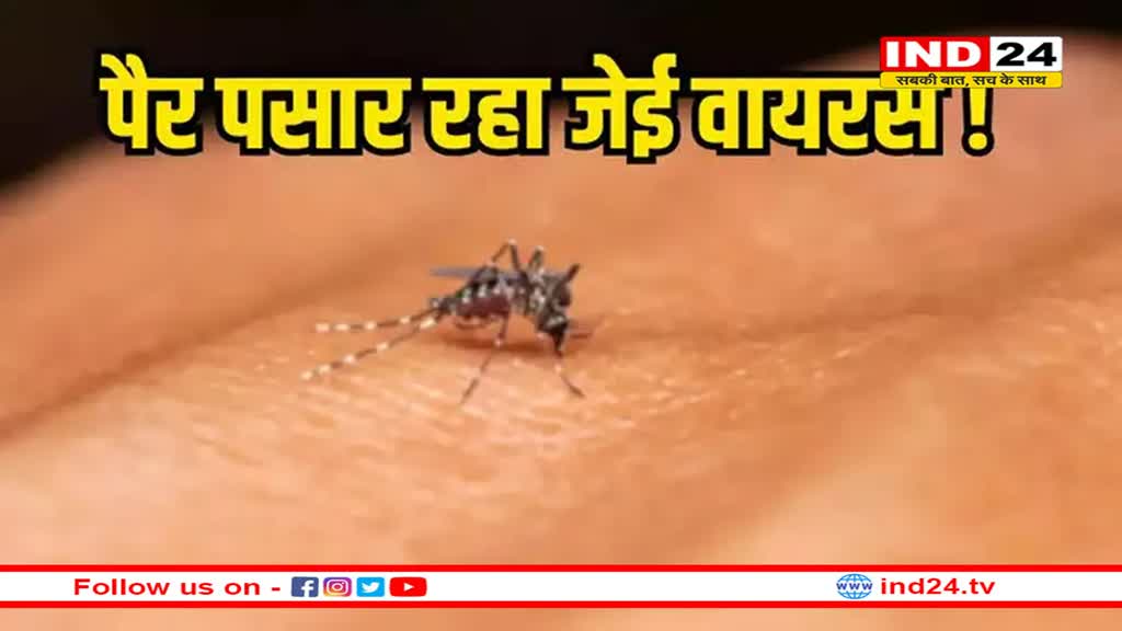 MP में जेई वायरस का प्रकोप, दो महीने में जापानी इंसेफेलाइटिस के 12 मामले