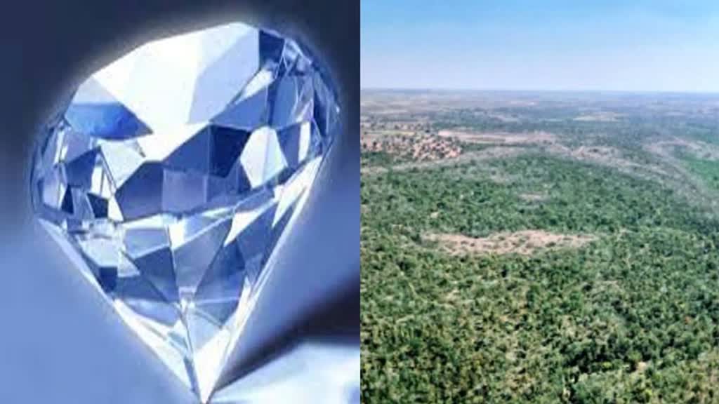 पन्ना : हीरा की चाह में जंगल तबाह