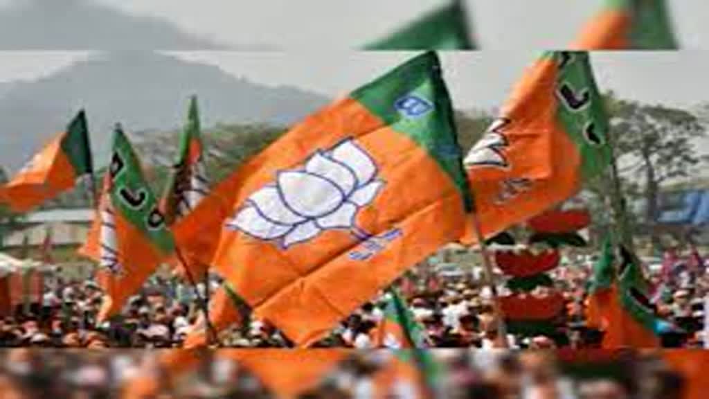 CG NEWS : राज्यों के सभी बीजेपी सांसदों ने दिया इस्तीफा, CG से अरुण साव, रेणुका सिंह और गोमती साय के नाम शामिल....