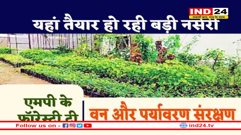 MP में कार्बन सोखने की बड़ी तैयारी, वैज्ञानिकों ने तैयार किए फॉरेस्टी ट्री