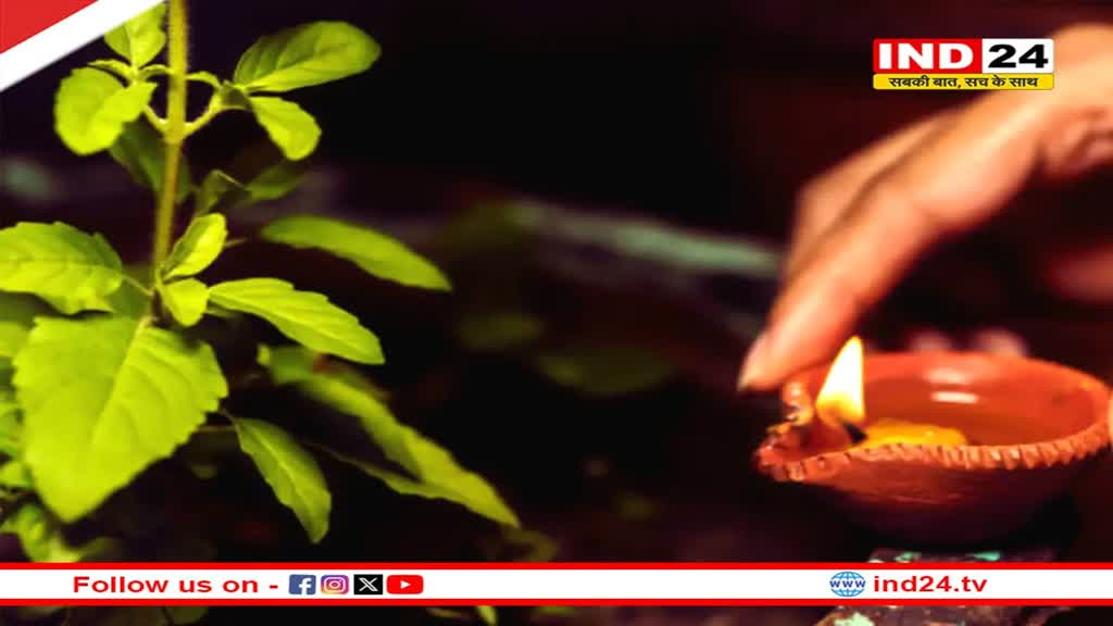 तुलसी विवाह के दिन करें ये उपाय, सभी बधाएं होंगी दूर