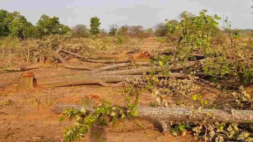 CG NEWS : हसदेव में किसी भी नए कोल ब्लॉक का आवंटन या उपयोग नहीं होना चाहिए:  छत्तीसगढ़ सरकार
