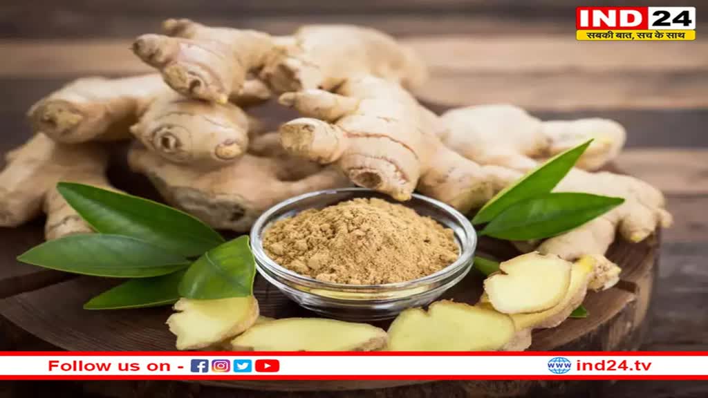 Weight Loss Tips: वजन कम करने के लिए डाइट में शामिल करें अदरक का पाउडर, जानिए कैसे कर सकते हैं इसका खाने में इस्तेमाल