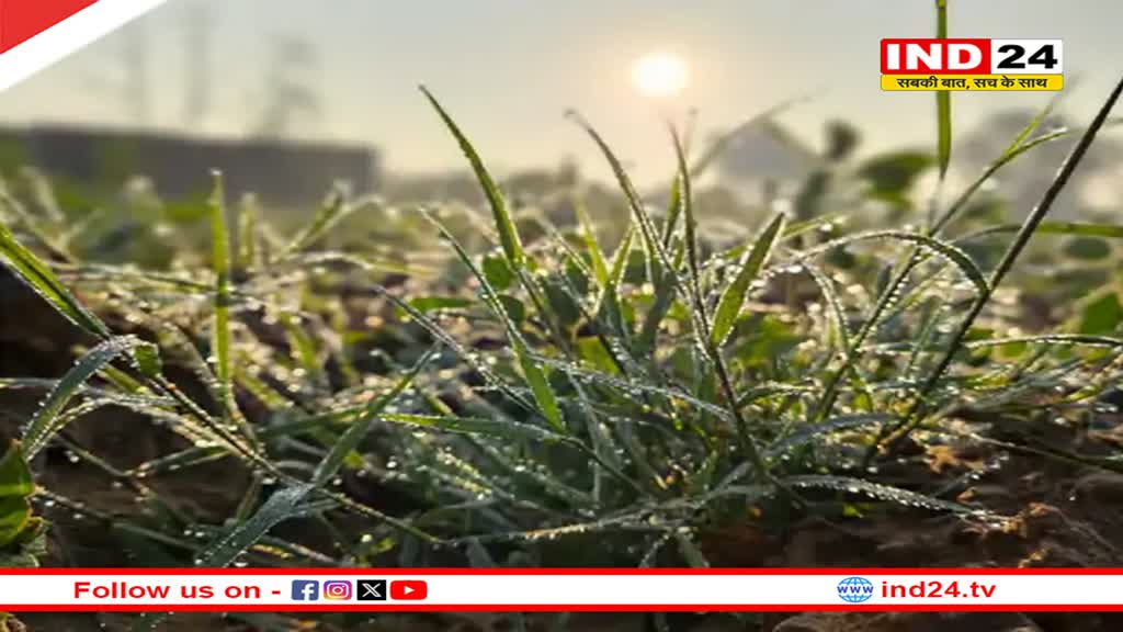 Rajasthan Weather Update: जयपुर-चूरू में सीजन का सबसे कम तापमान, 3 डिग्री और गिर सकता है पारा 