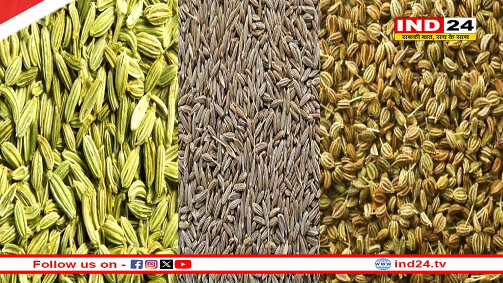 बीमारियों से दूर रहने के लिए डाइट में जोड़ें ये 3 मसालों का पाउडर, मिलेगा फायदा