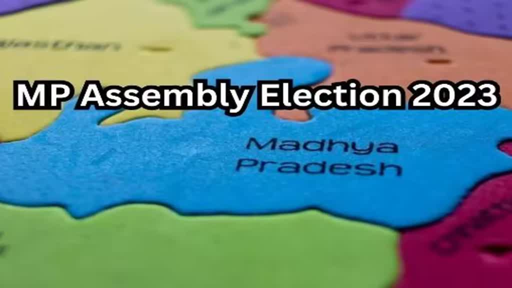 MP Election 2023: सुरक्षा एजेंसियों ने जब्त किए 3135 अवैध हथियार, 3921 विस्फोटक पदार्थ भी किए बरामद 