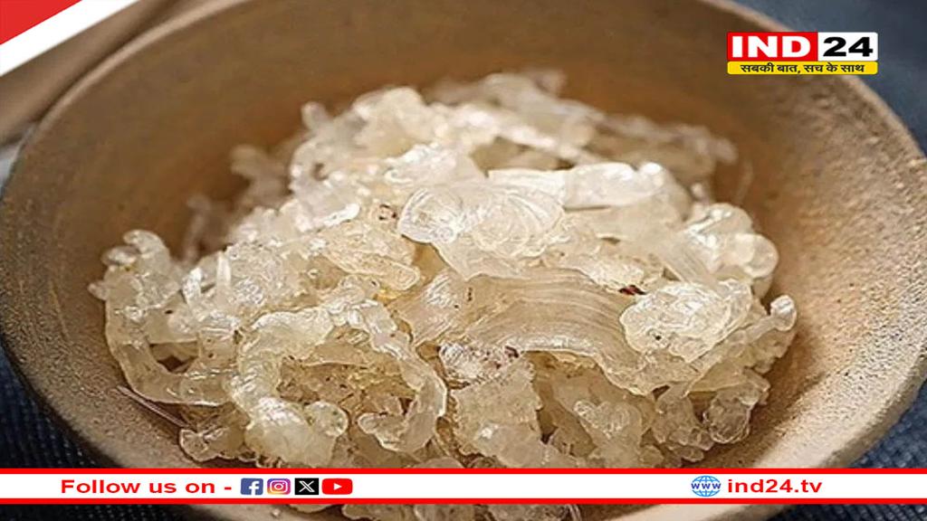 गर्मियों में करें गोंद कतीरा का सेवन, शरीर को रखेगा ठंडा