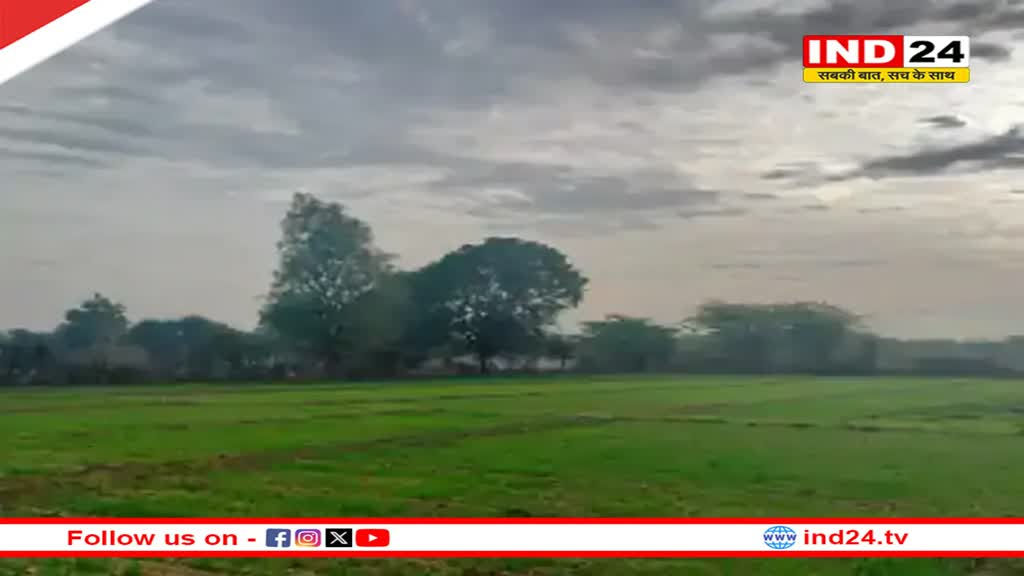 Rajasthan Weather Update: प्रदेश के 5 शहरों में बारिश का अलर्ट, कई शहरों का तापमान बढ़ा  