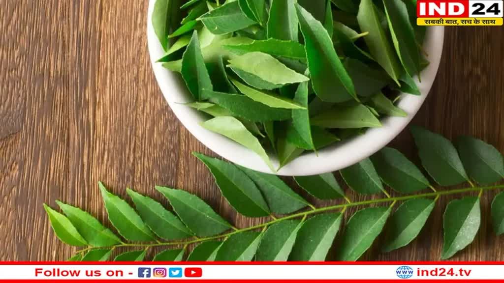 सेहत के लिए वरदान है करी पत्ता, जानिए इसके चमत्कारिक लाभ