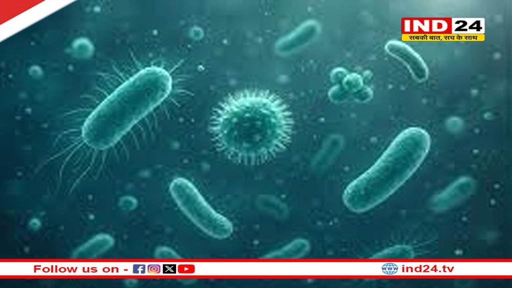 भीड़भाड़ में सांस लेना खतरनाक! दिल्ली की हवा में पाए गए संक्रामक बैक्टीरिया