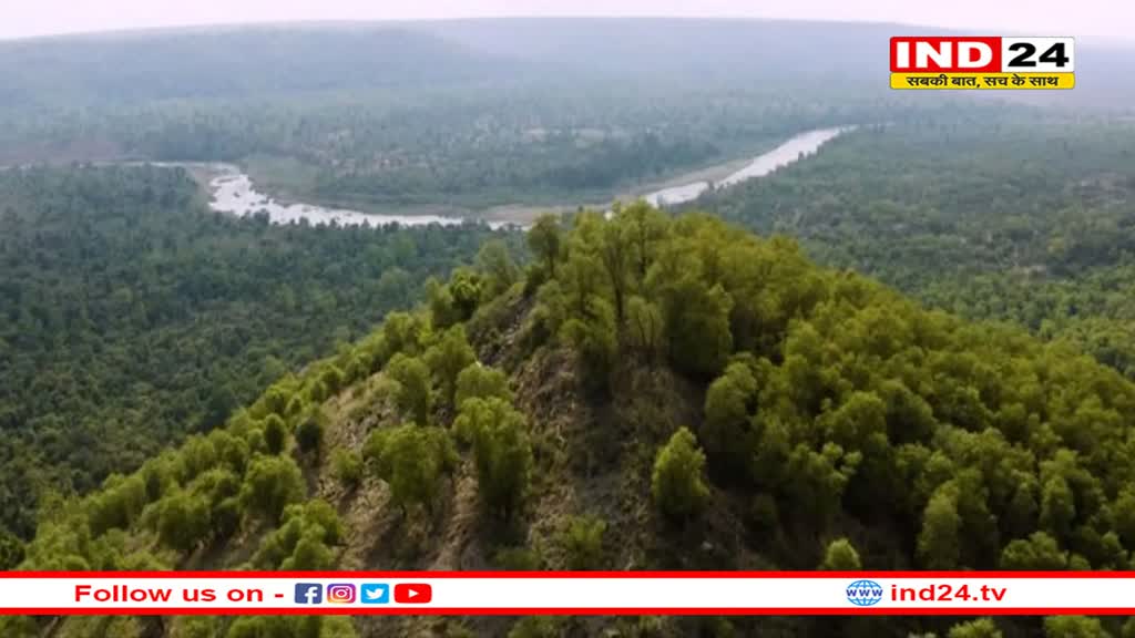 कूनो नेशनल पार्क समेत एमपी के 5 अभ्यारण में बढ़ेंगी पर्यटकों के लिए सुविधाएं