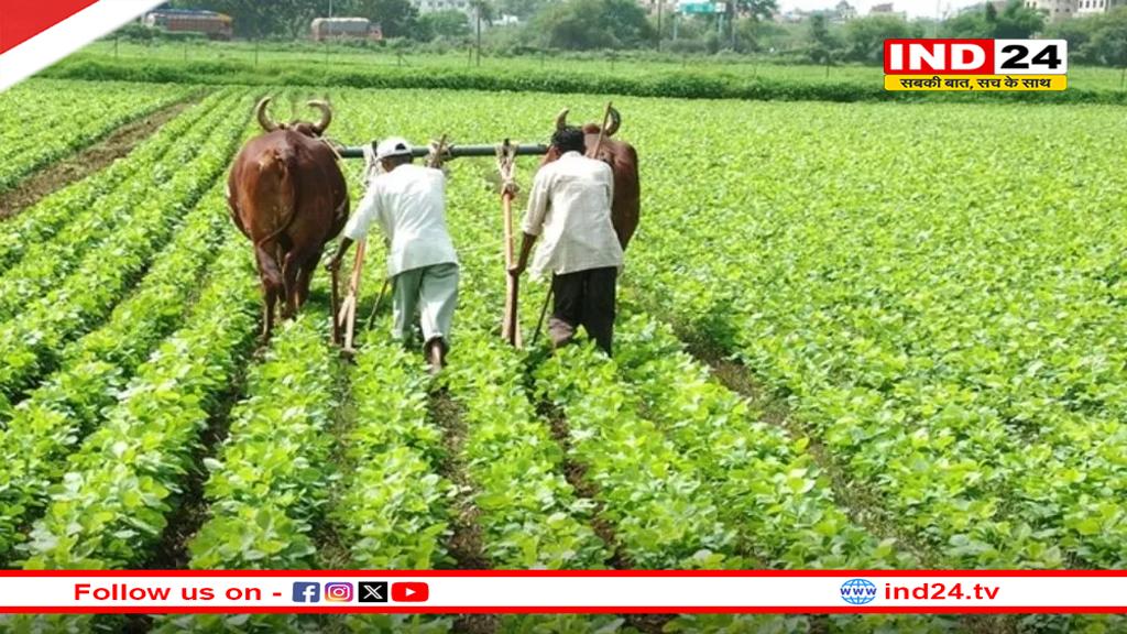 सरकार ने बढ़ाया सोयाबीन का मॉडल रेट, 15 दिनों में 265 रुपए की बढ़ोतरी