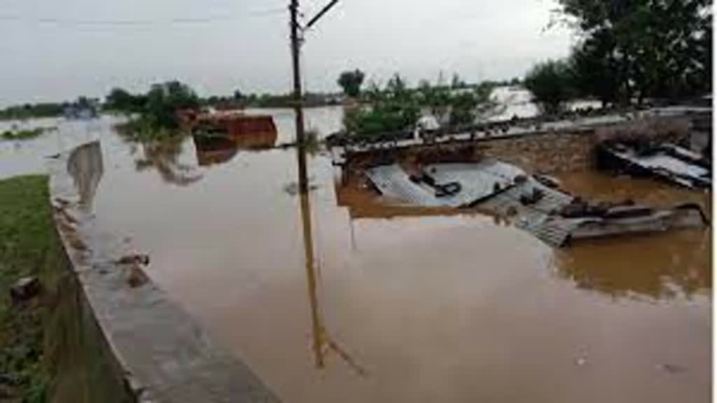  भारी बारिश के कारण उफान पर नर्मदा नदी, हजारों एकड़ में लगी फसल जलमग्न