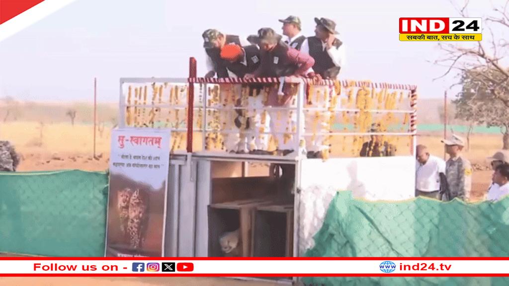 गांधी सागर अभयारण्य में सीएम डॉ. मोहन यादव ने पावक और प्रभास को बाड़े में छोड़ा