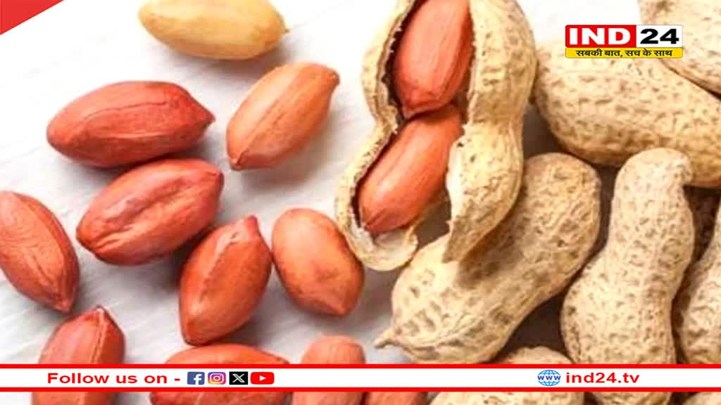 सर्दी में खा रहे है ज्यादा मूंगफली तो जाएं सावधान! जानें इससे होने वाले नुकसान के बारे में