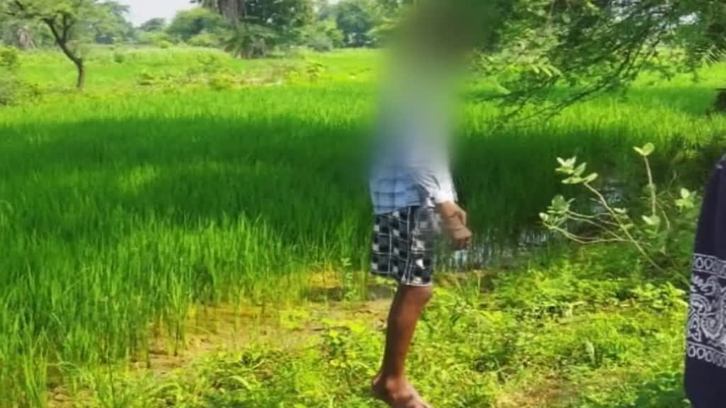 CG NEWS : राजधानी में 14 साल के लड़के की पेड़ पर लटकी मिली लाश.......लाश मिलने से इलाके में सनसनी, जांच में जुटी पुलिस