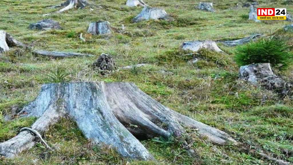 jungleveer: वन माफियाओं से वनों को बचाने बनी जंगलवीर की योजना