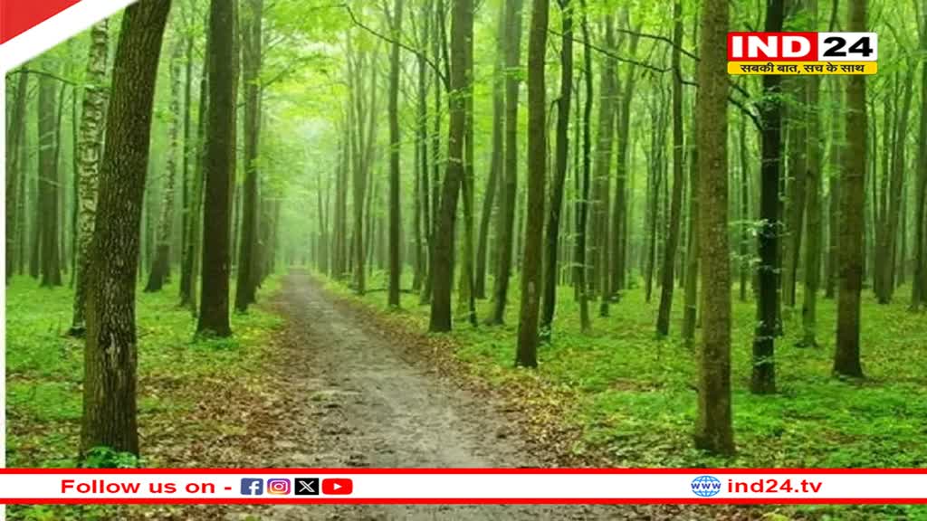 अग्निवीर की तर्ज पर MP में वनवीर होंगे भर्ती, हर साल होगी 500 से अधिक नियुक्तियां, मिलेंगे ये लाभ