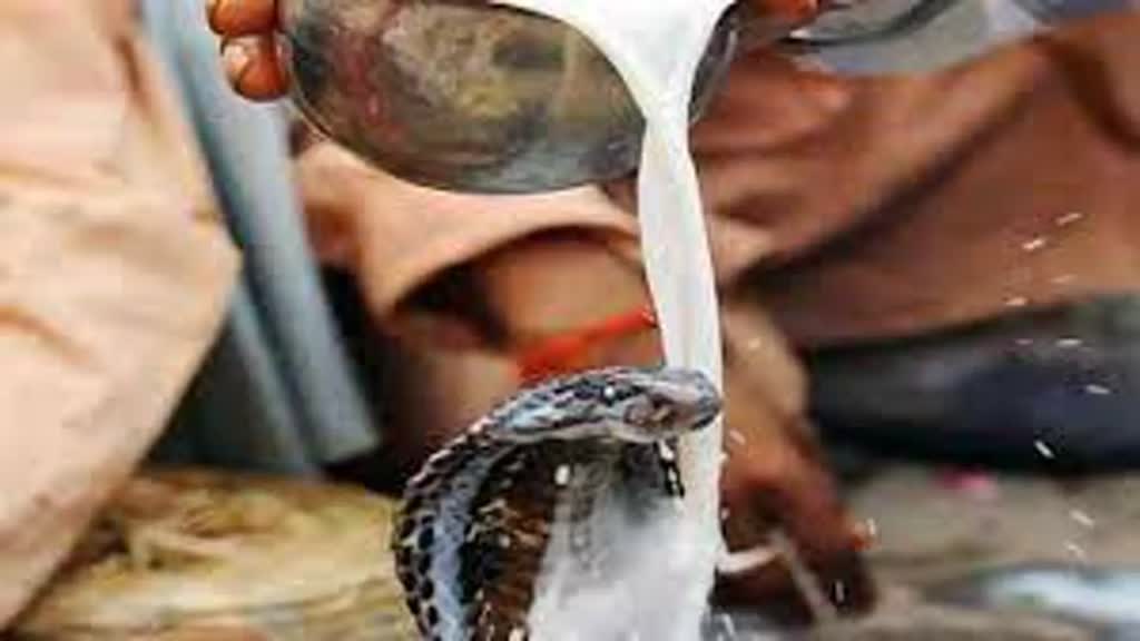 नागपंचमी आज, मंदिरों, घरों में होगा नाग देवता का पूजन